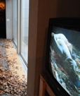 gallery 2