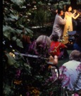 Offering in Clinton Community Garden, New York City
