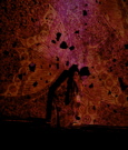 Eiko in White Dance