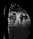 photo by Lev Radin