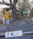 Yonomori, 15 January 2014, No. 13