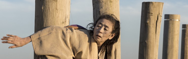 A Body in Menemsha