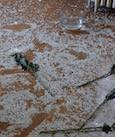 A Body with Water