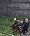 A Body on Governors Island
