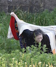A Body on Governors Island