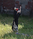 A Body on Governors Island