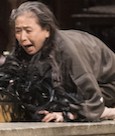 Remembering Fukushima: Epilogue (2017)