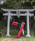 A Body in Fukushima: 2017