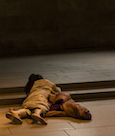 A Body in a Museum - The Met Cloisters