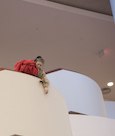 A Body in a Library - Toronto