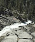 Sequoia: River (2019)